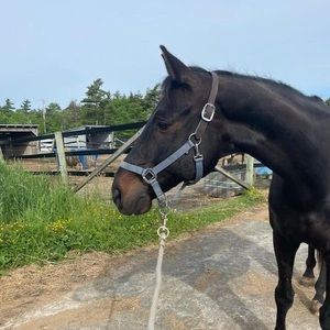 Meet your Posher, Fiona